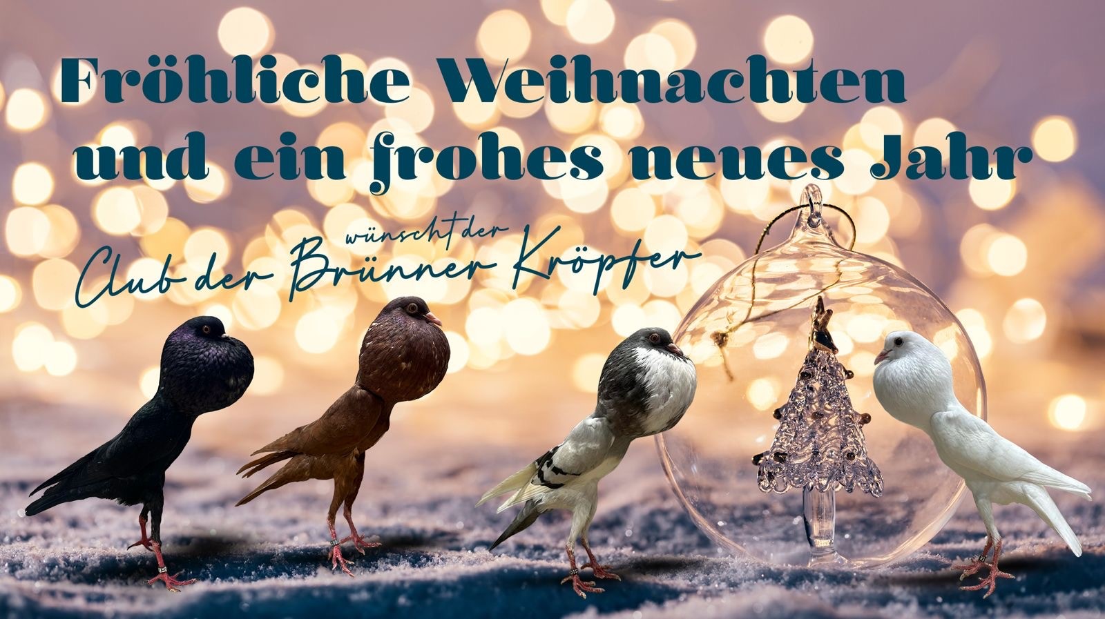 Weihnachtswnsche