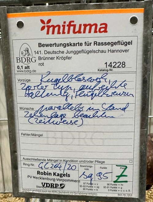 B 6-1 - Bewertung