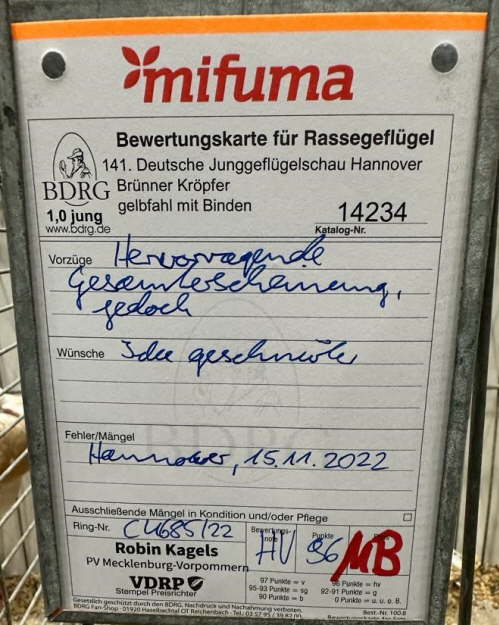 B 8-1 - Bewertung